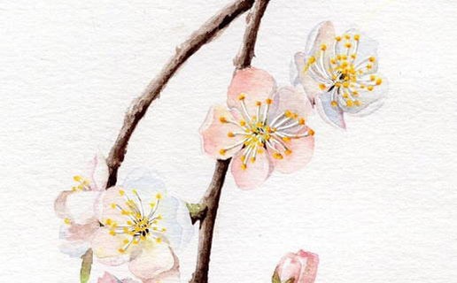 午時出生的屬相是什麼 午時出生之人的運勢如何