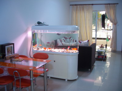 擺個魚缸 營造家居好風水