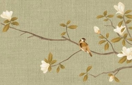 選車牌號禁忌 有什麼說法