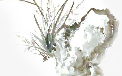 女人生在午時命好嗎 午時出生的女人命運如何