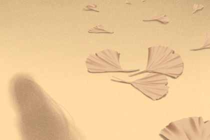 養金龍魚有什麼好處