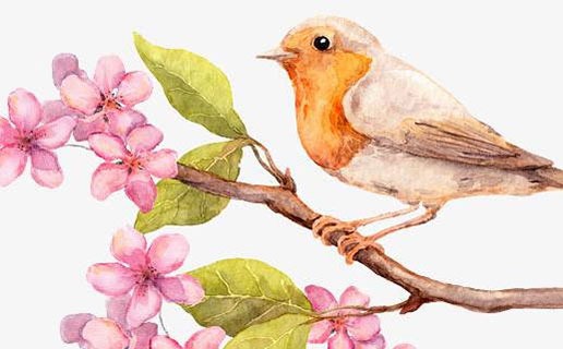 幾月份的牛是金牛 三月出生的寶寶一生富貴