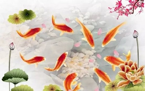 九魚圖忌什麼生肖?有什麼懸掛禁忌?