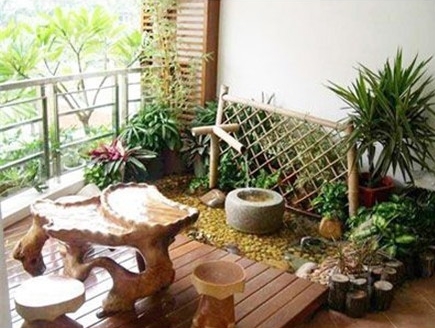 家庭風水植物大全