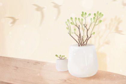 你要了解的別墅後門的風水講究