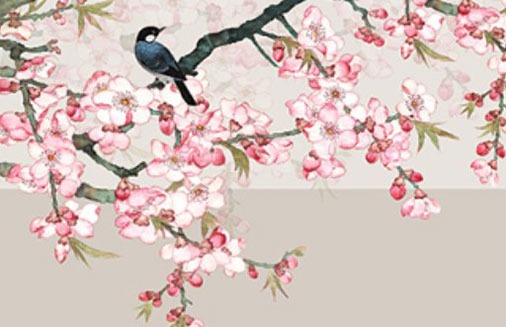 車牌號968打多少分 數字最吉的牌號集錦