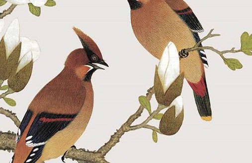 手機號碼0000好嗎 寓意圓滿吉祥的號碼