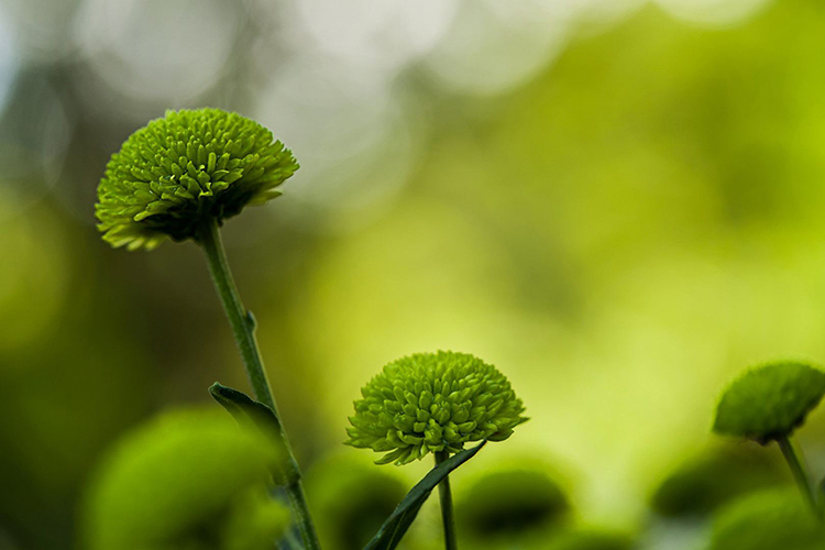 旺事業的風水格局 布置得當多有助益