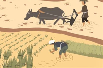 害太歲怎麼化解，五帝明咒不可拿下來