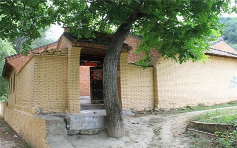 門前有樹的風水好不好?門前種樹有哪些禁忌呢?