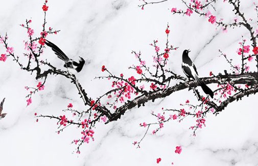 車牌尾數是0代表什麼 最旺運聚財的車牌號碼