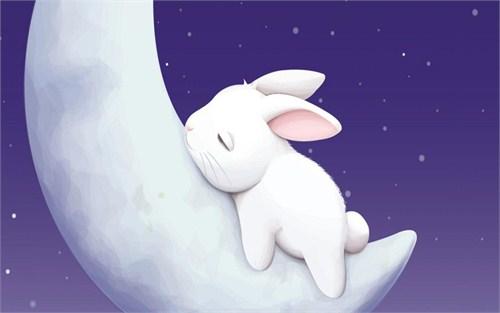 生肖兔的辦公室懸掛什麼畫的風水好?