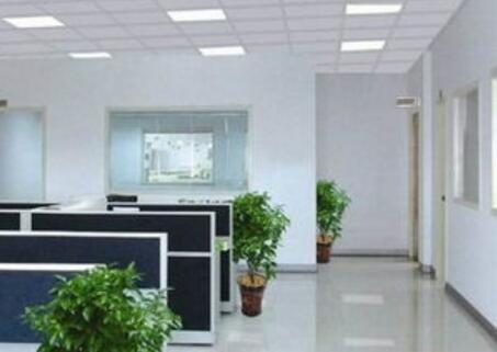 辦公室風水擺放風水植物的講究