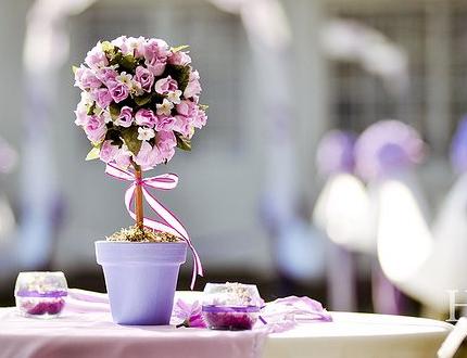 不可忽視的家居風水小細節