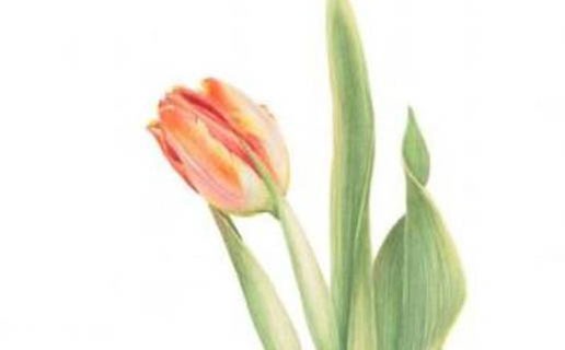 2021年牛寶寶命理運勢 2021年幾月出生的寶寶運勢好