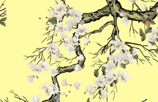 957這個數字作為手機號吉利嗎 吉利的尾數推薦