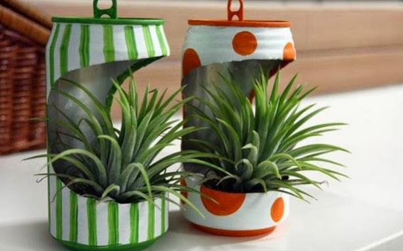 提升財運的幾種衛生間風水植物