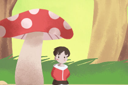 風水擺件蟾蜍的擺放注意事項