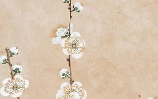 六月六日出生的女孩子 親善和睦有魅力