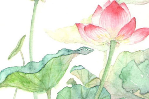 男子午時出生真的好命嗎 個性很強勢