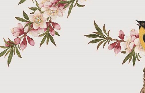 旺財的手機號碼有哪些 招財帶財的財富磁場