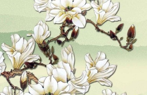 手機號碼測吉凶免費測試 旺財的手機尾號