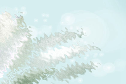 風水植物須知:富貴竹怎麼養
