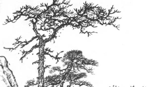 房子開門對著陽台不好嗎 如何化解