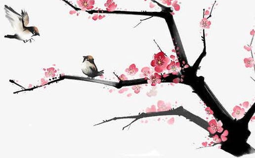 午時生的女孩子是什麼命 卯時出生的女孩最旺夫