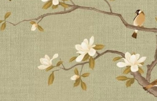 車牌號最佳字母和數字 組合最好看的車牌號碼