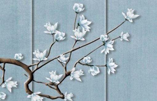 牛年小暑出生的人 誕辰為今日沒有如何