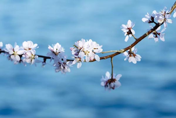 不順心時謹記三句話,福報不請自來