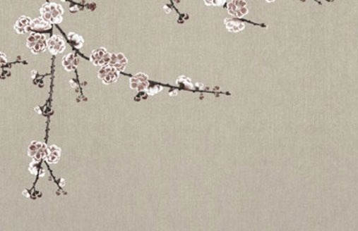 女人帶財運的手機號什麼號碼最好 吉祥的號碼