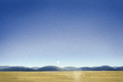 可以利運的花卉擺放小常識