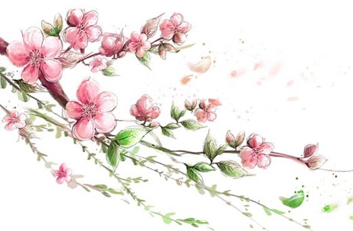 屬牛人什麼時間出生最好命,牛人不同時間出生的命運