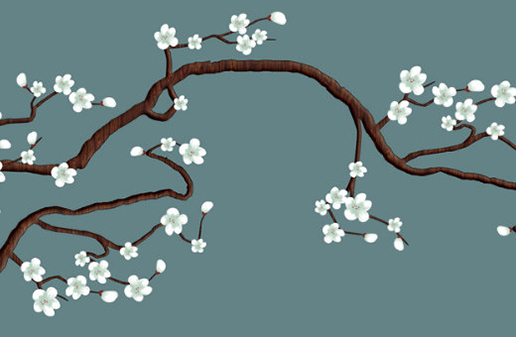 屬牛女孩什麼時候出生最好,最吉利的出生月份