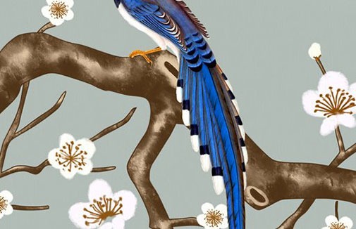 車號免費測吉凶打分 最吉利吉祥的車牌號碼