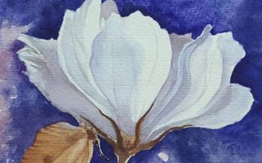 屬牛男午時出生命運 男寶寶出生在午時好不好