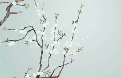 手機號碼怎麼選有財運 財運最強的手機號碼