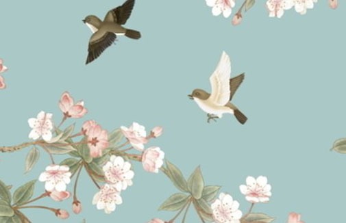 車牌尾號字母代表什麼 寓意幸福平安車牌號碼