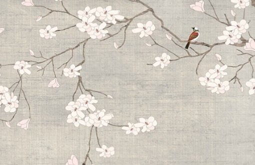 好聽的車牌號大全2022 四位吉利車牌排行