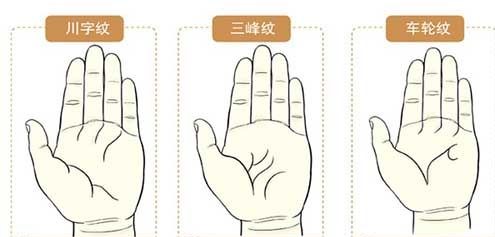 有三峰紋的人命運如何 什麼手相命好