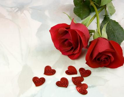 花的種類決定其風水擺放的位置