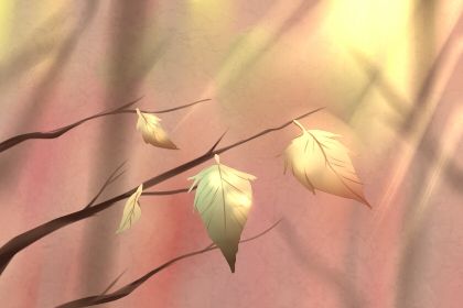 房子太古老，可以放這幾個大型物件鎮陽氣