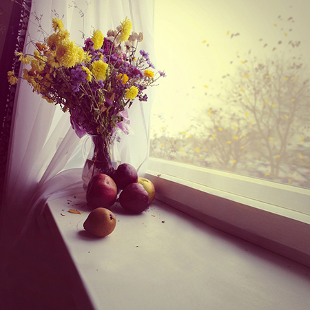 2020年屬豬的辦公室風水布局