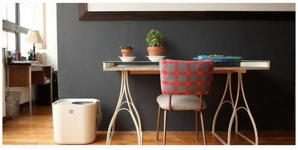 家裡擺放這樣東西會破財