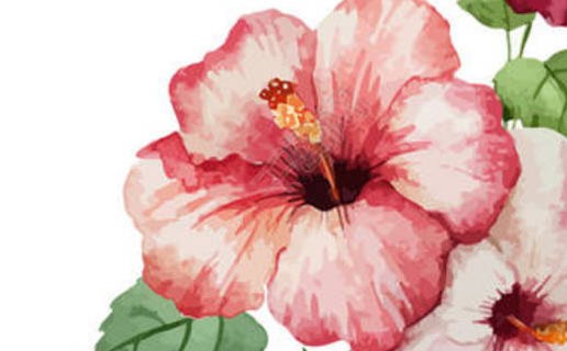 家裡三個屬牛的好嗎 家裡有三個屬牛的運勢會如何