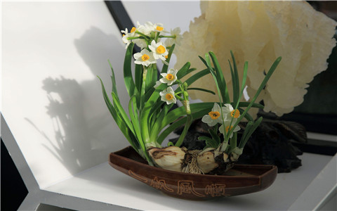 坐北朝南文昌位在哪裡，有哪些禁忌呢？