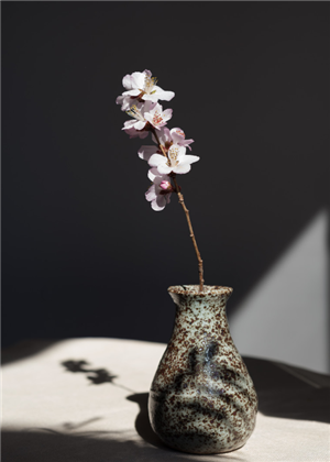 2019年桃花位在什麼方位？應該如何判斷呢？