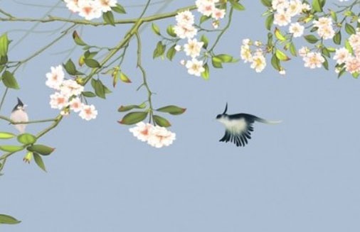 車牌號尾號字母代表什麼數字 吉利數字牌號分析